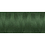 dortak-493
